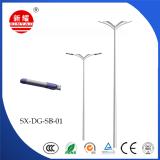 Double Arm Light Pole